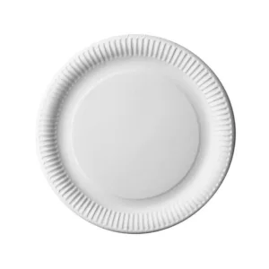 Assiette blanche carton rondes 23 cm par 100