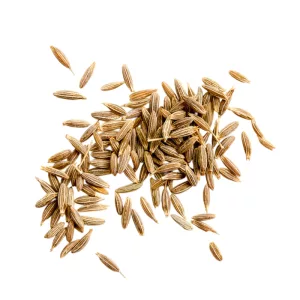 Cumin grain