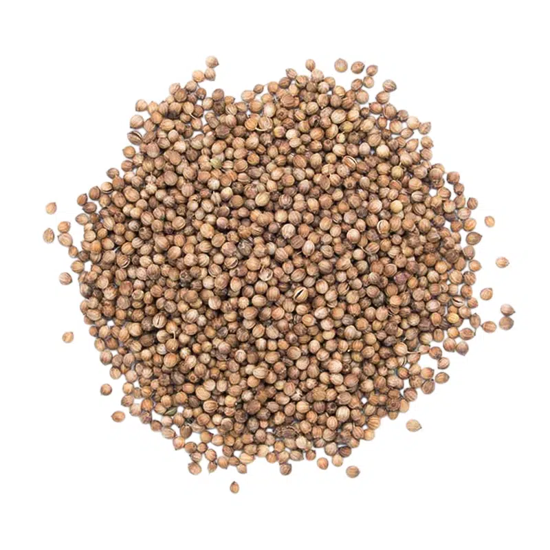 Grain de coriandre 1kg